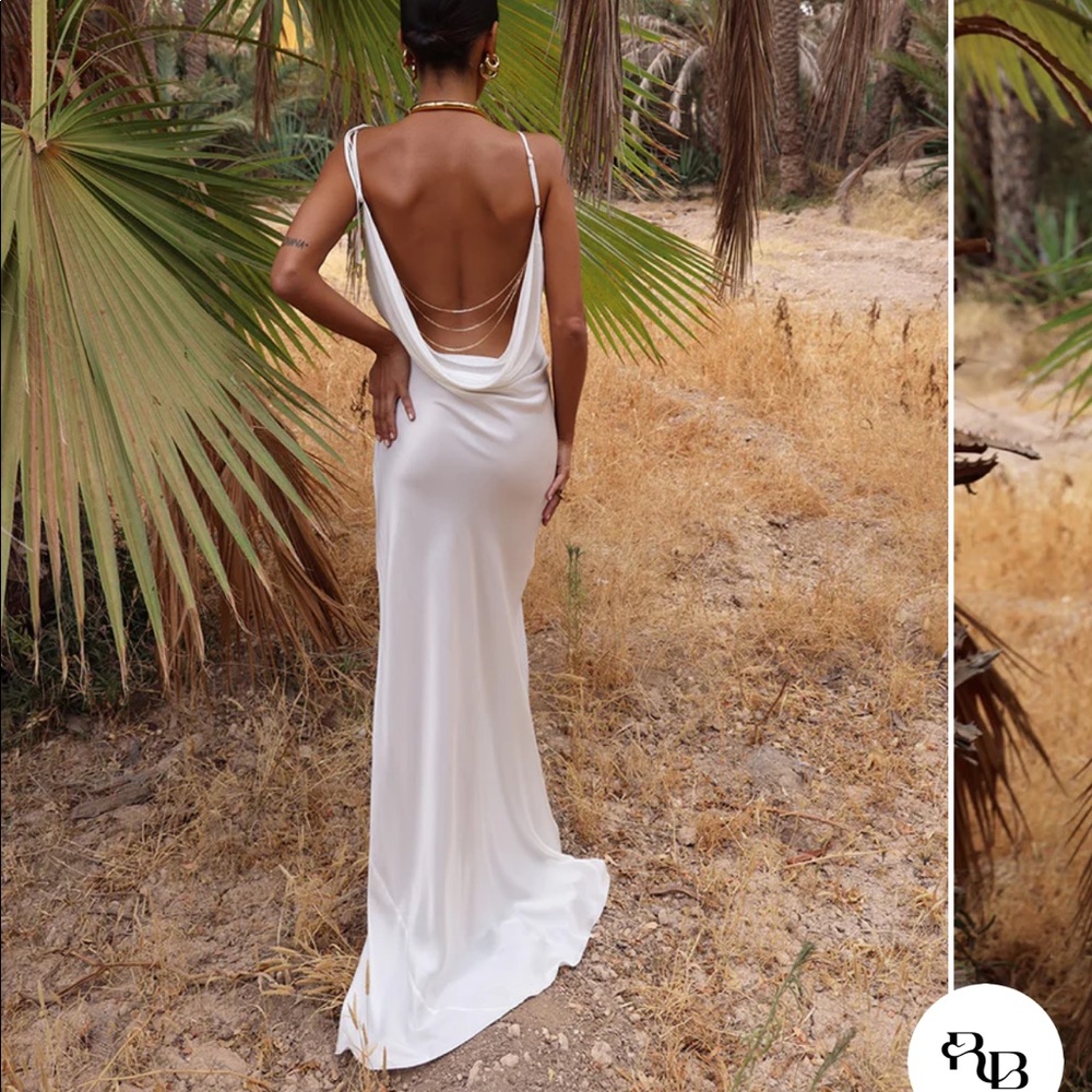 Rat and Boa slip dress with open back gold chain!